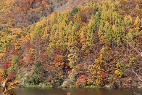 IMG_3099小野川湖展望台(北部)