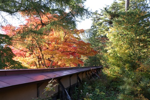 IMG_2884福満虚空藏菩薩円蔵寺