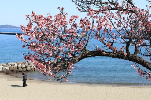 IMG_5727熱海親水公園