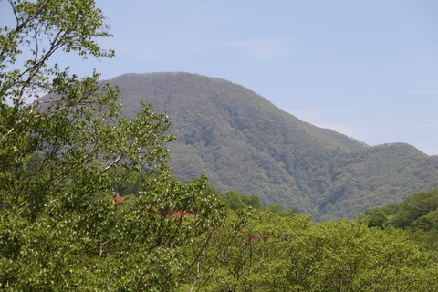 IMG_8519さざれ石よりより黒檜山