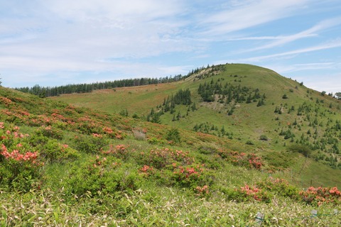 IMG_9992保護センター方面へ向かう