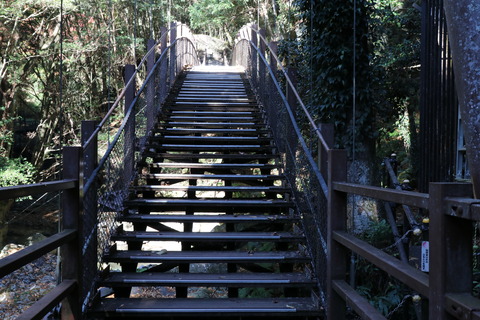 IMG_4765河津踊子滝見橋