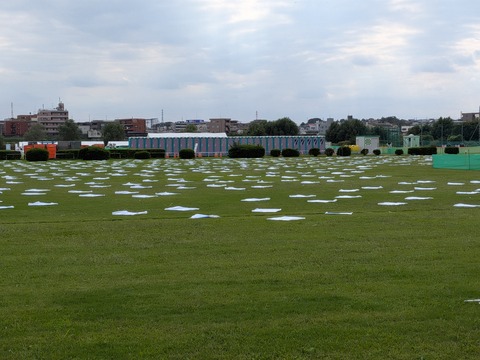 PXL_20261003_043311771