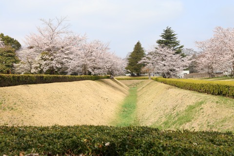 IMG_7686馬出し空堀