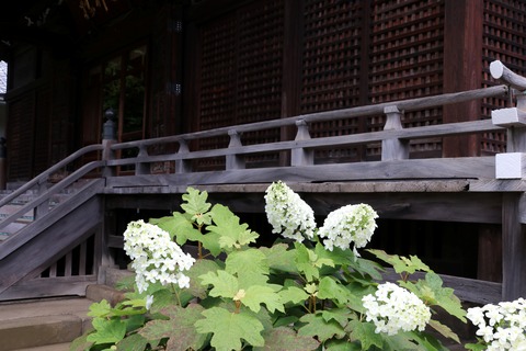 IMG_9740白山神社