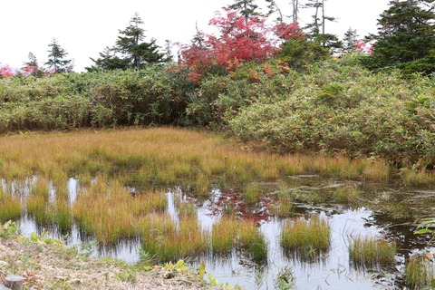 IMG_2446モウセン池