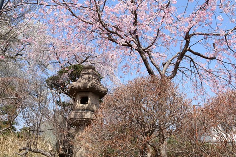 IMG_7456妙法寺