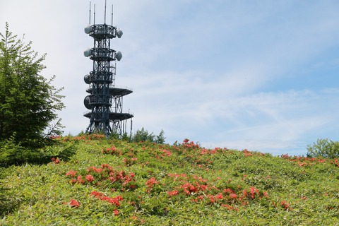 IMG_0153王ガ鼻に向かう道より