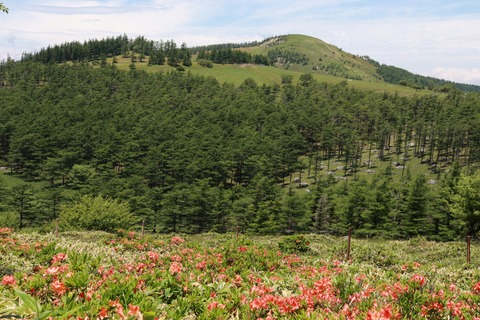 IMG_0118美しテラスへの道武石峰振り返り