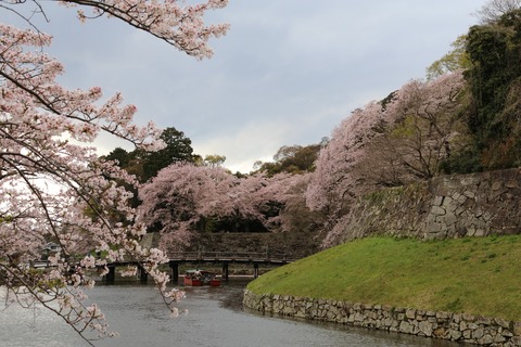 IMG_8576大手門橋
