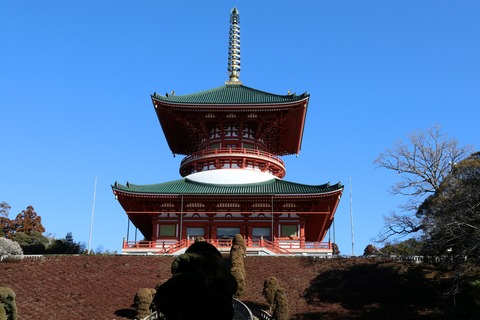 IMG_5971平和の大塔