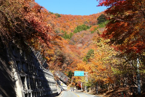 IMG_4244南アルプス遠望所近く