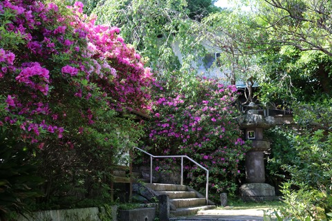 IMG_7144安国論寺
