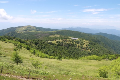 IMG_0216王ケ頭より保護センター方面