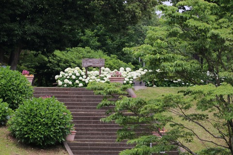 IMG_0353植物園