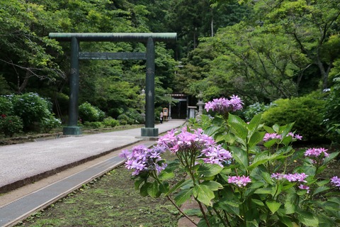 IMG_9432建長寺半増坊道