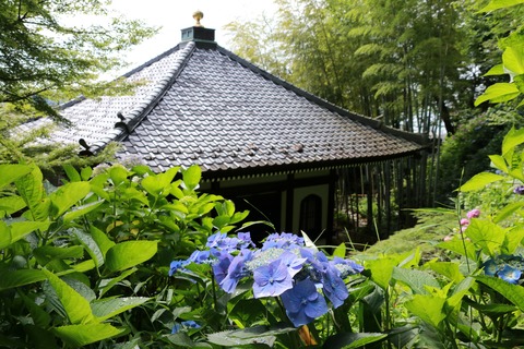 IMG_9155長谷寺 転輪蔵