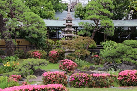 IMG_0196遼渓園