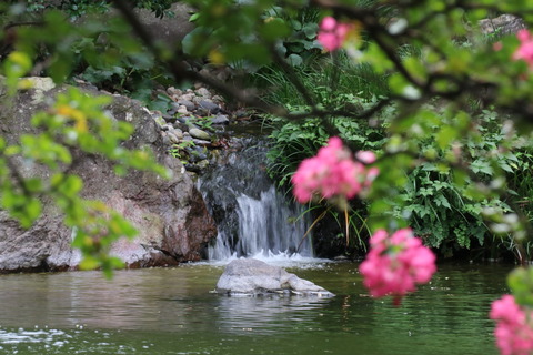 6IMG_1616高輪プリンスH日本庭園