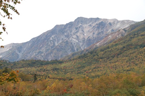 IMG_2126水芭蕉湿原と白馬岳