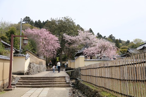 IMG_8073開山堂横の坂