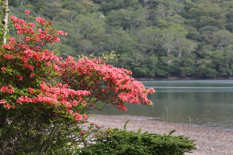 IMG_8800小沼