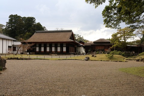 IMG_8533楽々園