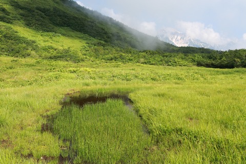 IMG_1008鎌池湿原