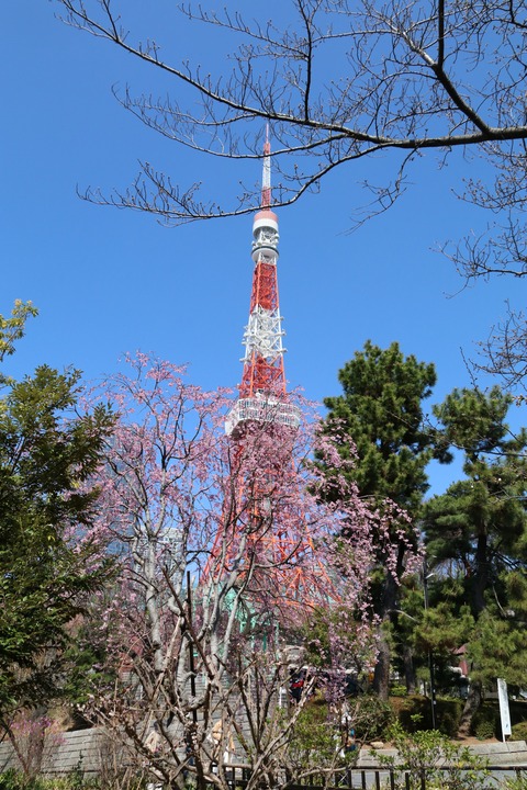 IMG_7236芝公園北側