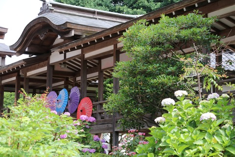 IMG_0686客殿・日華殿間