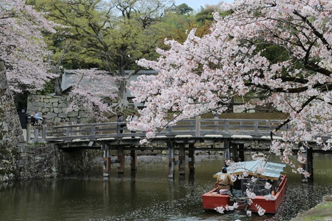 IMG_8574根城 表門橋