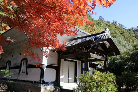 IMG_4183清兮寺(ｾｲｹｲｼﾞ)