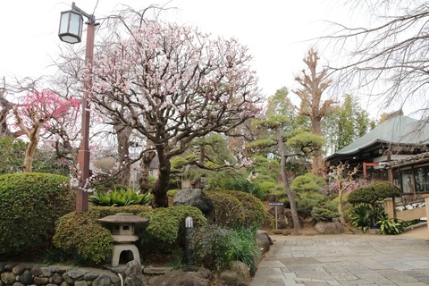 IMG_6414妙法寺