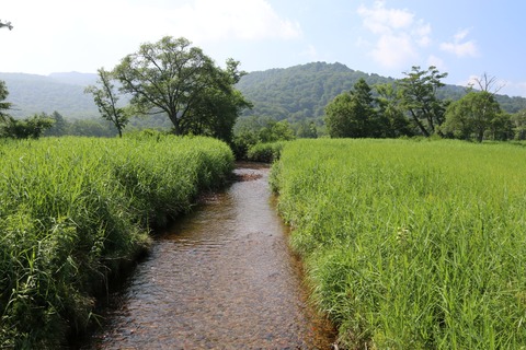 IMG_1220ヨッピ川（原の上川橋・南側）