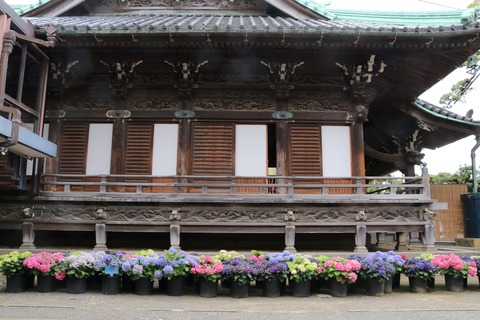 IMG_0119帝釈天帝釈堂