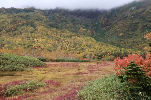 IMG_2340浮島湿原