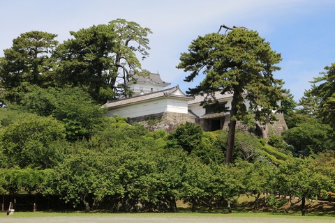 IMG_0441二の丸より天守閣を望む