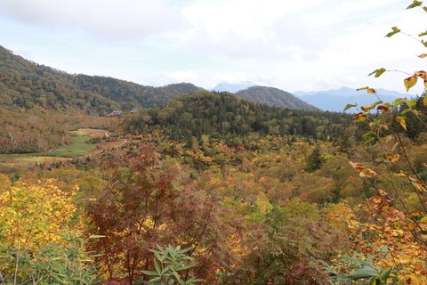 IMG_2263ワタスゲ湿原やビジターセンターなどを見下ろす