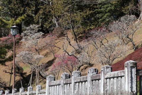 IMG_6132平和の大塔下