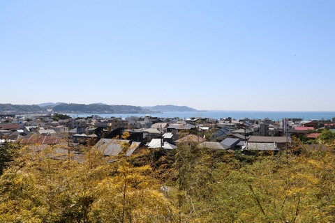 IMG_7195長谷寺