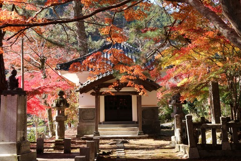 IMG_4220三門周辺