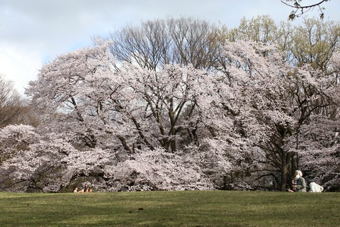 IMG_0376