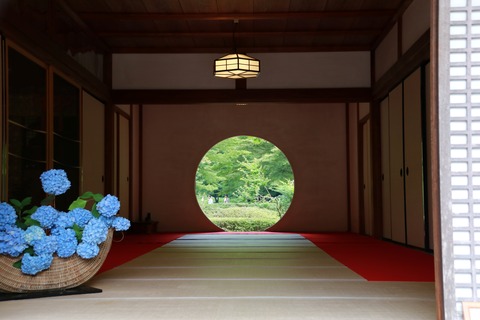 IMG_9598明月院 悟りの屋根
