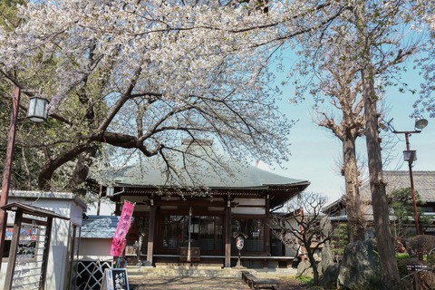 IMG_7440妙法寺e