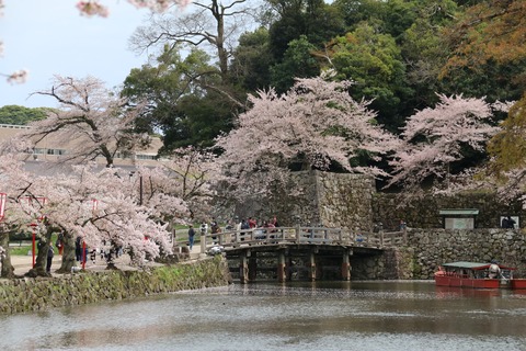 IMG_8569彦根城 表門橋