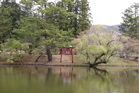 IMG_8164鏡池