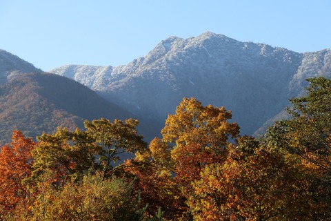 IMG_2619道の駅しもごう