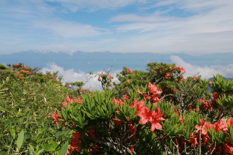 IMG_9835思い出の丘