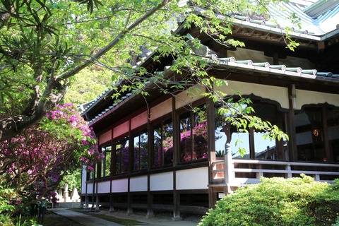 IMG_7132安養院 本堂