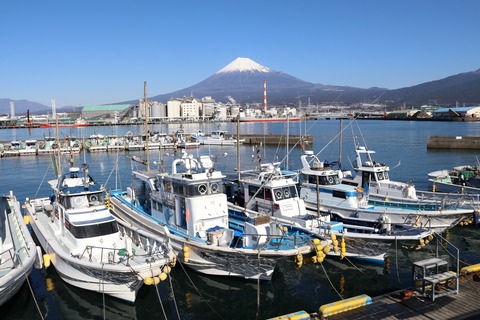 IMG_5129田子の浦漁港